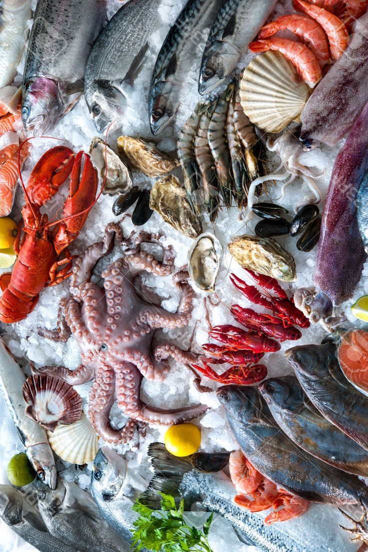 Fresh seafood selection